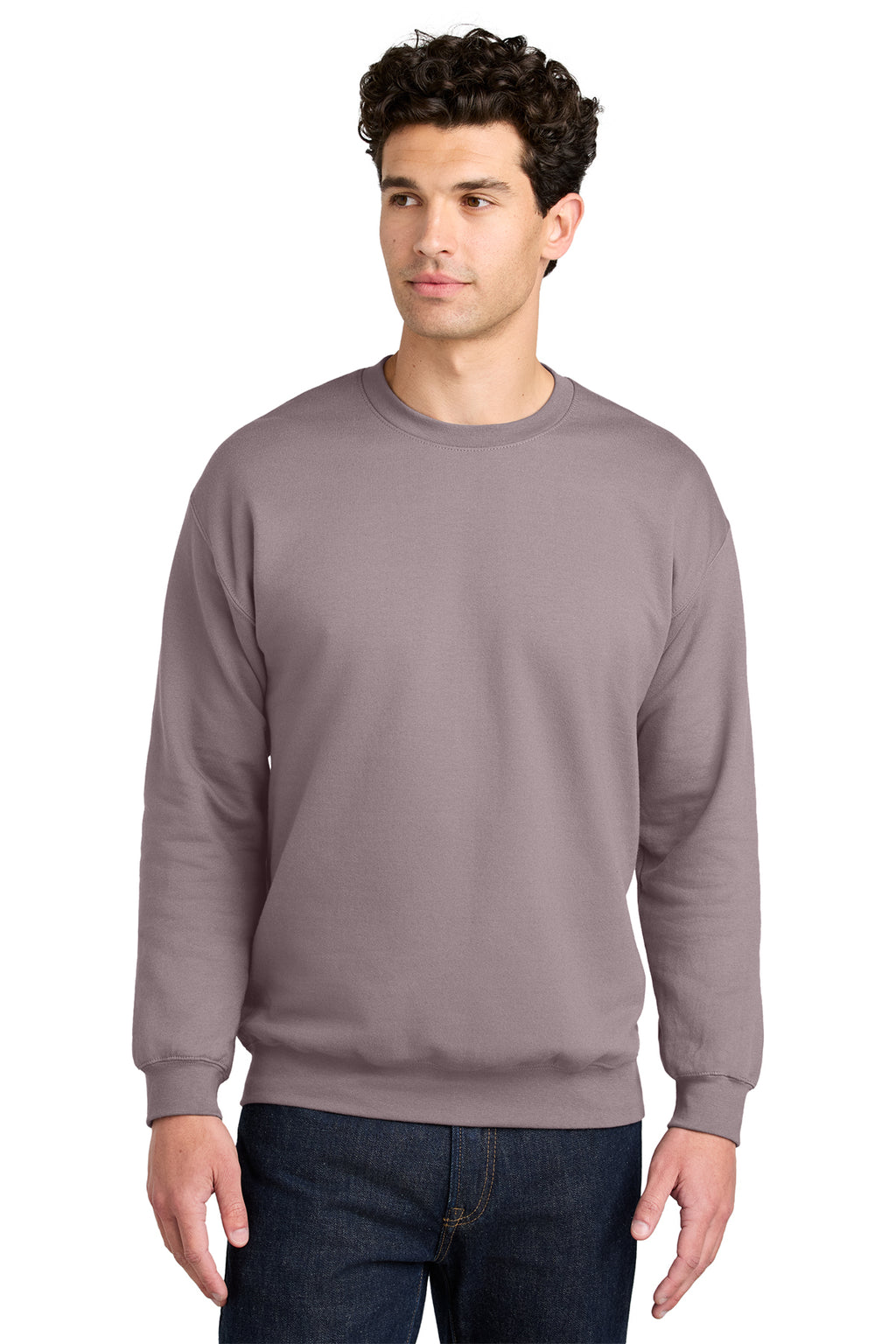Gildan Softstyle Crewneck Sweatshirt SF000 in Paragon, front view