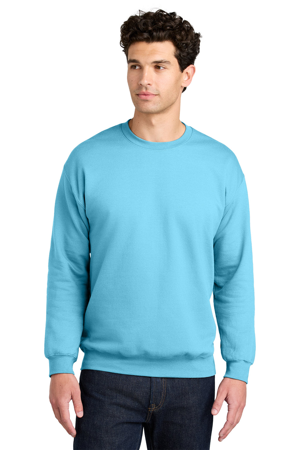 Gildan Softstyle Crewneck Sweatshirt SF000 in Sky, front view