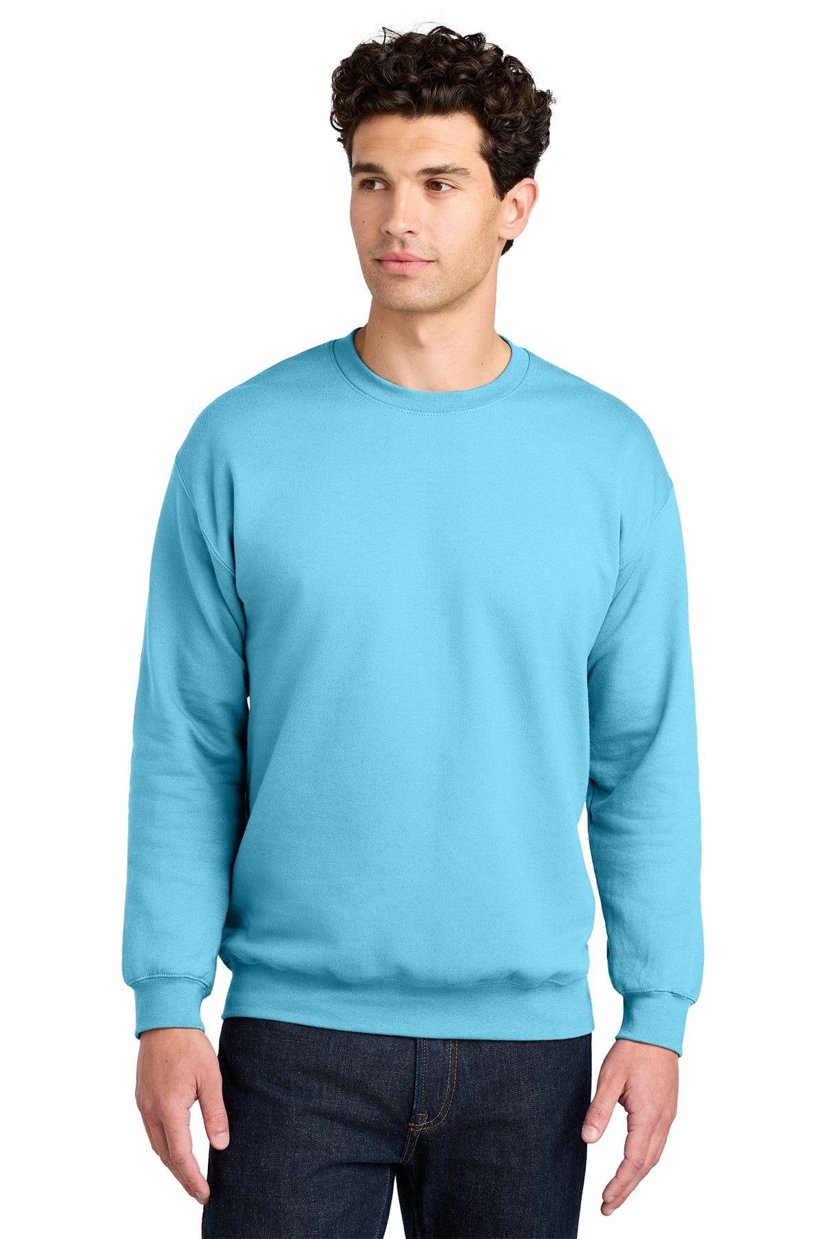Gildan Softstyle Crewneck Sweatshirt SF000 in Sky, front view