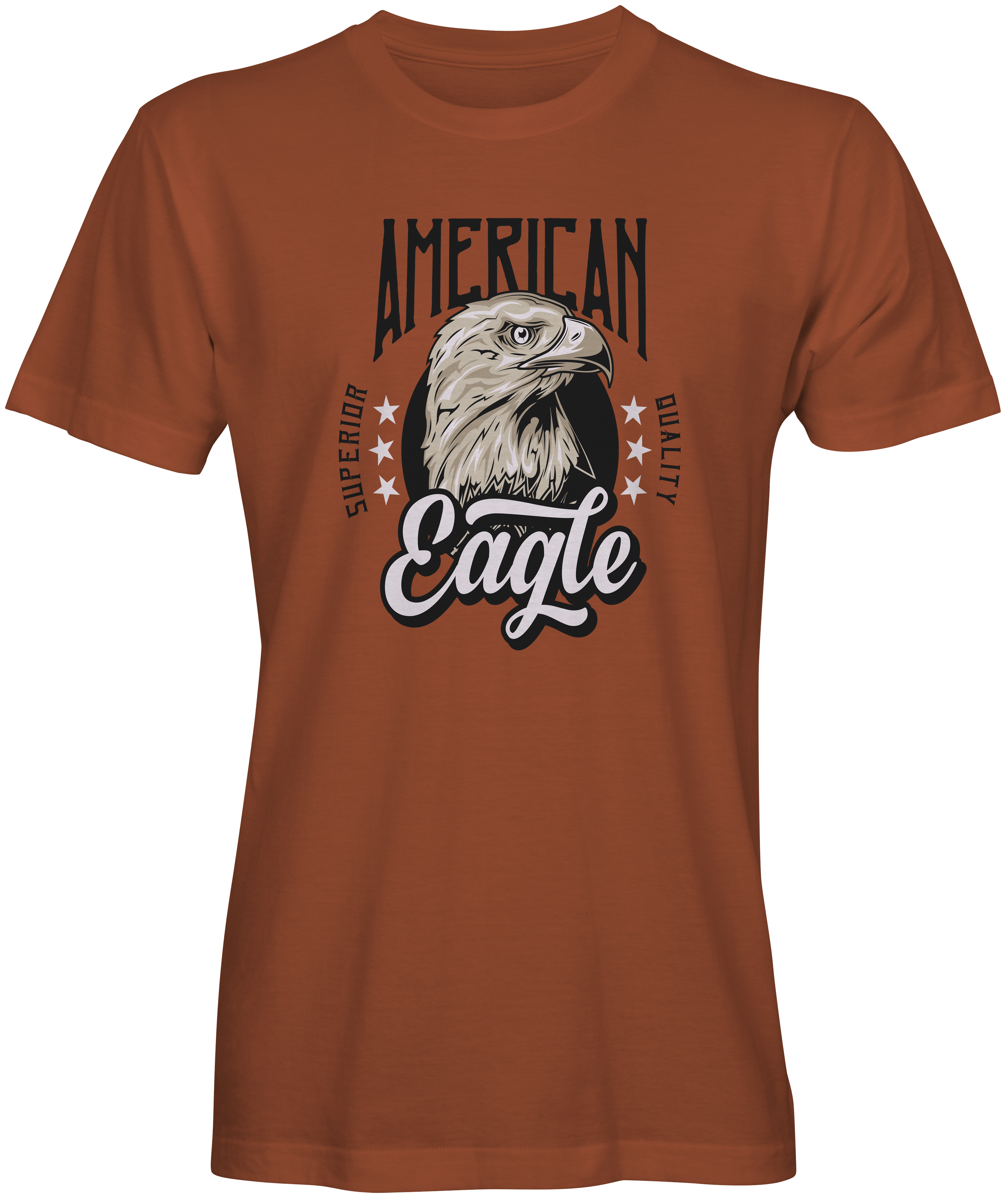Burnt Orange American Eagle T-shirts