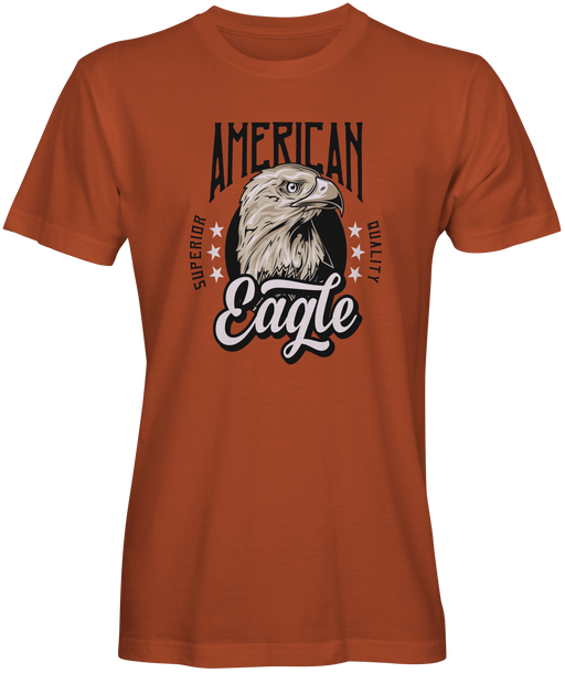 Burnt Orange American Eagle T-shirts